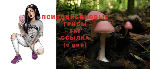 СК Белокуриха