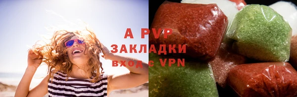 сатива Белоозёрский