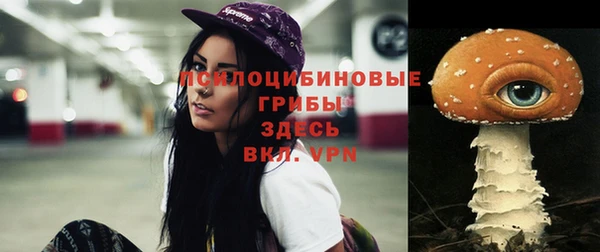 прущие крисы Беломорск