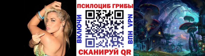 как найти закладки  Болохово  Галлюциногенные грибы мицелий 